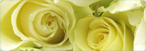 Cornelia Gunn - Kosmetik in Stuttgart